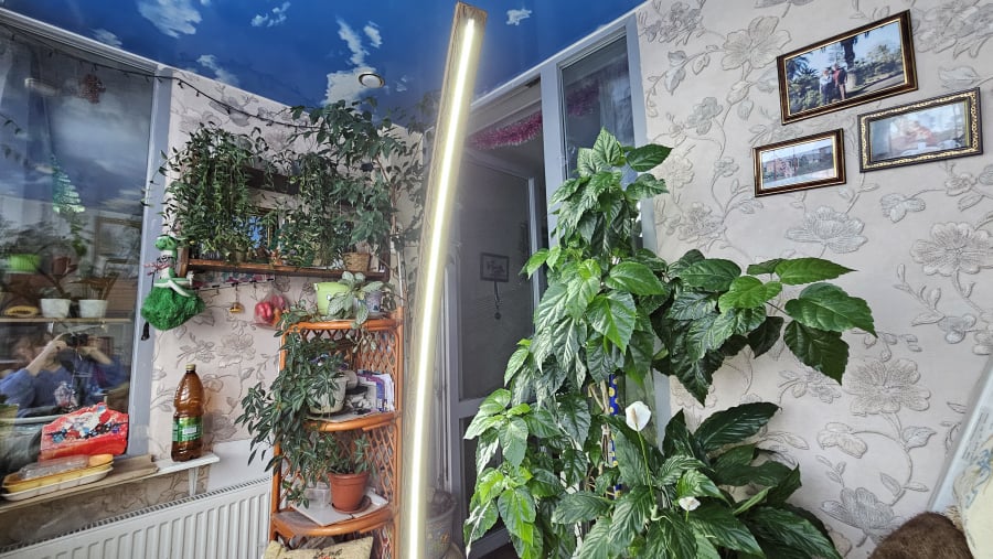 Деревянные напольные светильники от производителя Woodwave